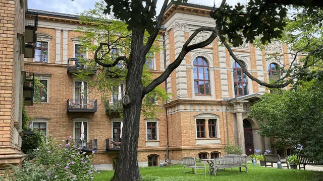 Einbruchmeldeanlagen - geschützes Gebäude mit Wiese und einem Baum